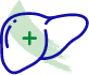 Icono de hepatólogos