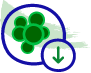 Icono de reducción de la grasa hepática tóxica